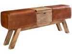 WOHNLING WL5.098 Design Turnbock Echtleder Sitzbank mit Aufbewahrungsfach 120 x 29 x 53 cm Braun