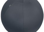 LEITZ Ergo Cosy Sitzball grau 65,0 cm