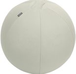 LEITZ Ergo Active Sitzball hellgrau 65,0 cm