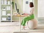 LEITZ Ergo Active Sitzball hellgrau 65,0 cm