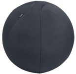 LEITZ Ergo Active Sitzball dunkelgrau 55,0 cm