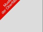 HAMMERBACHER VXDSM18/5/S elektrisch höhenverstellbarer Schreibtisch 63 - 127 cm lichtgrau / silber