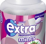 Extra® Professional Mints Waldfrucht