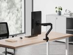 Neomounts DS70-250BL1 vollbewegliche Tischhalterung für 17-35" Bildschirme - Schwarz