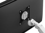 Neomounts DS70-250WH1 vollbewegliche Tischhalterung für 17-35" Bildschirme - Weiß