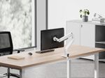 Neomounts DS70-250WH1 vollbewegliche Tischhalterung für 17-35" Bildschirme - Weiß