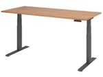 HAMMERBACHER Schreibtisch VXDKB19/N/G nussbaum
