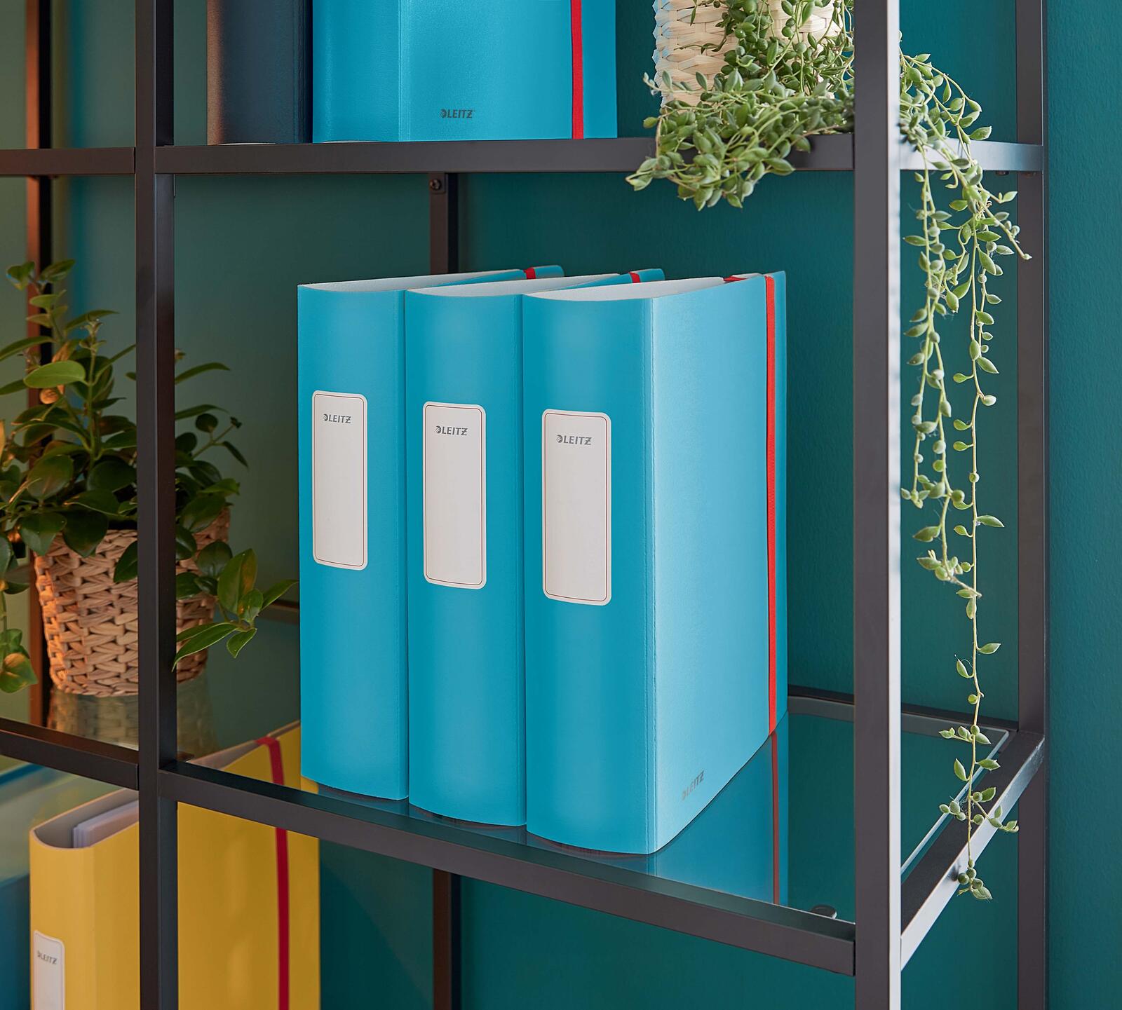 LEITZ Ordner Rückenbreite 8.2 cm DIN A4 stabile Pappe sanftes blau