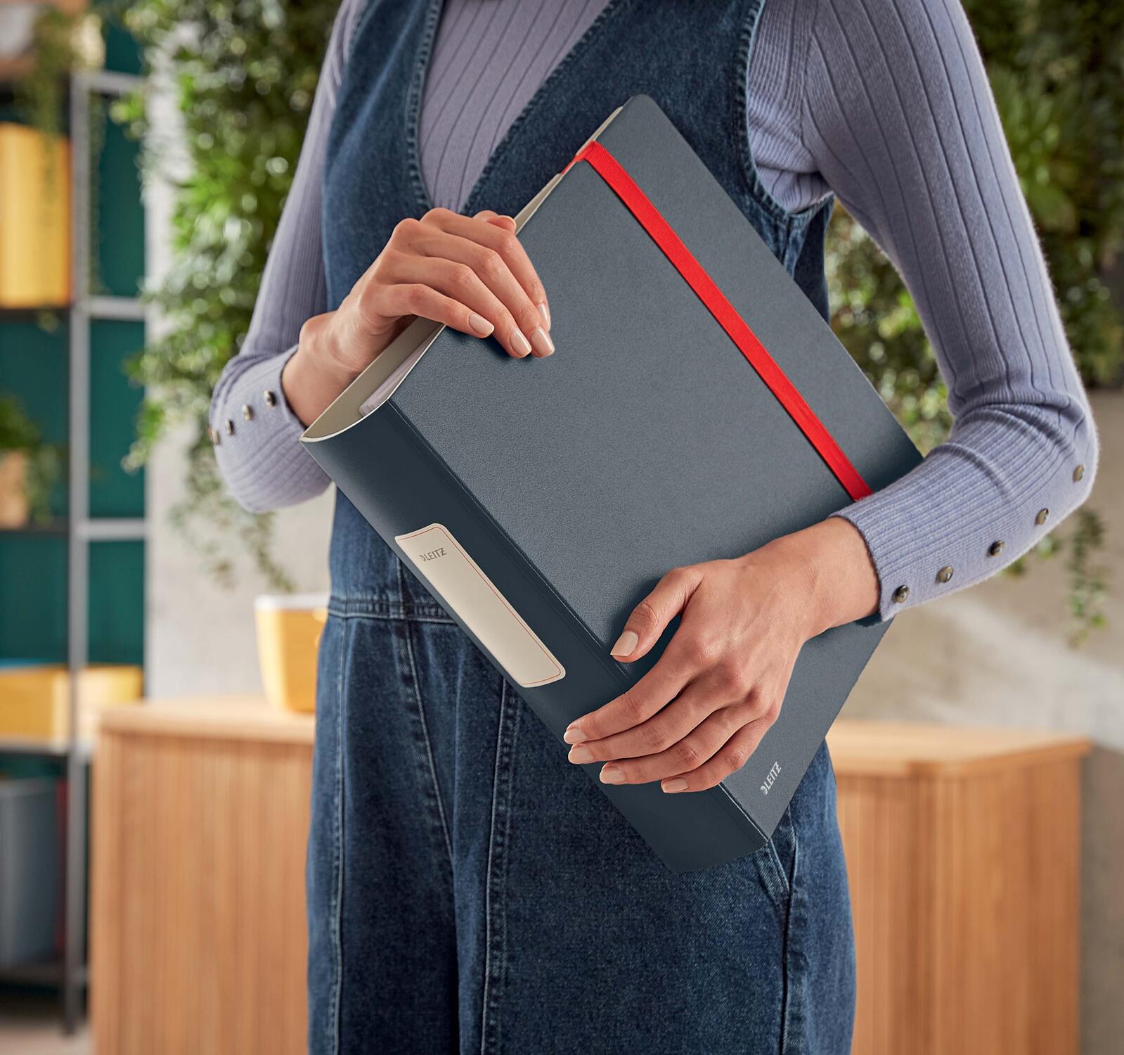 LEITZ Ordner Rückenbreite 8.2 cm DIN A4 stabile Pappe samtgrau