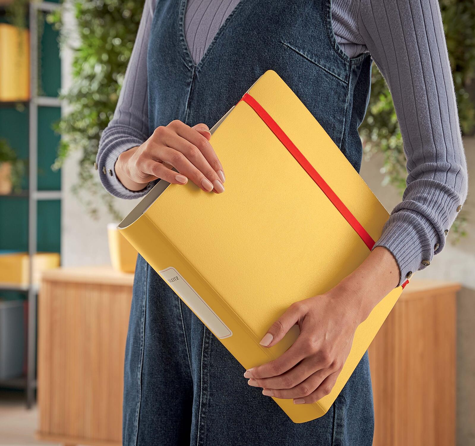 LEITZ Ordner Rückenbreite 6.5 cm DIN A4 stabile Pappe warmes gelb