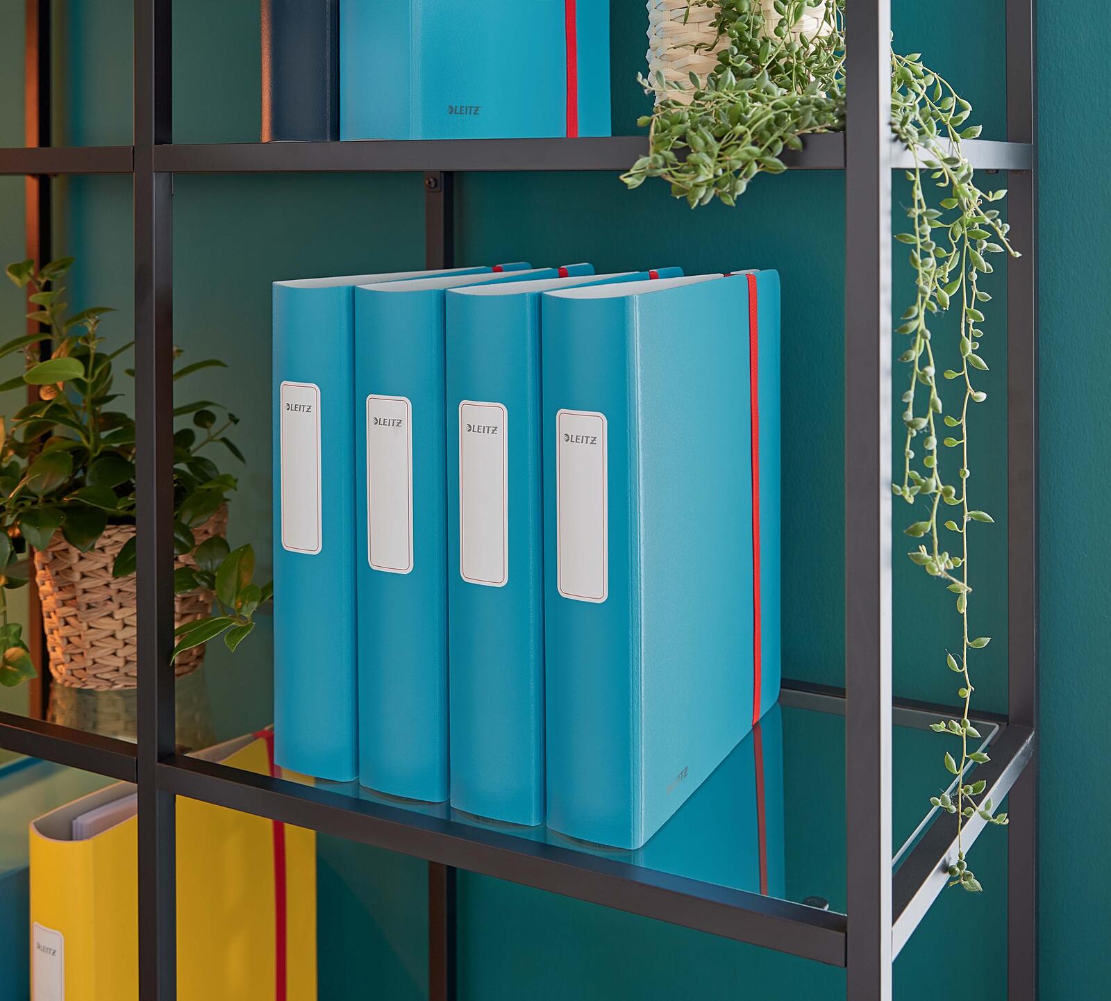 LEITZ Ordner Rückenbreite 6.5 cm DIN A4 stabile Pappe sanftes blau