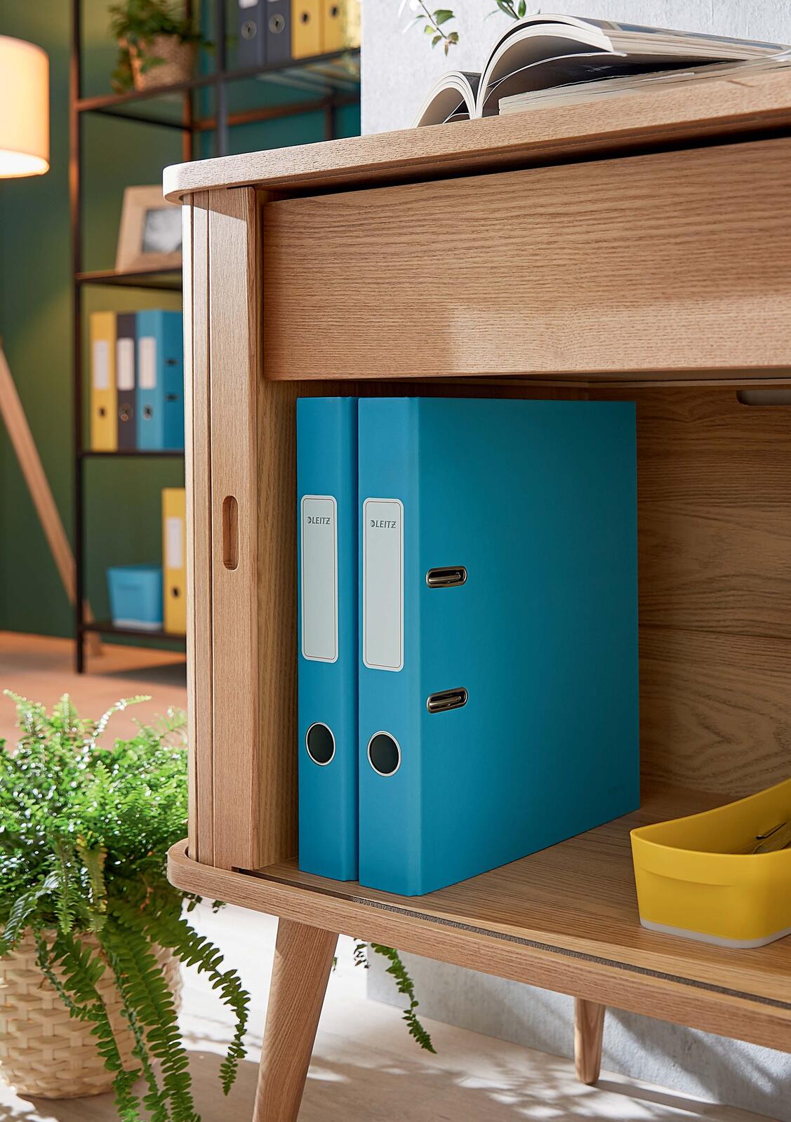 LEITZ Ordner Rückenbreite 5.2 cm DIN A4 stabile Pappe sanftes blau