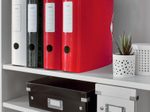 LEITZ Ordner Rückenbreite 8.2 cm DIN A4 Kunststoff rot