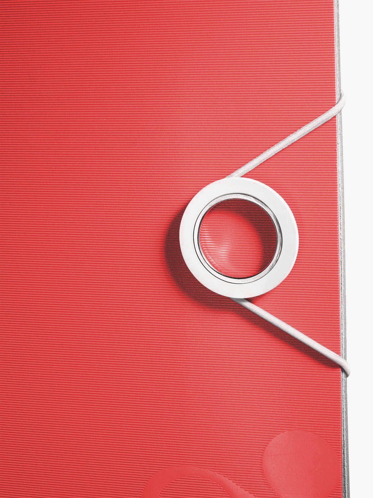 LEITZ Ordner Rückenbreite 8.2 cm DIN A4 Kunststoff rot