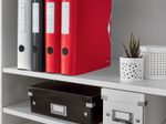 LEITZ Ordner Rückenbreite 6.5 cm DIN A4 Kunststoff rot