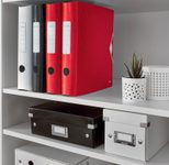 LEITZ Ordner Rückenbreite 6.5 cm DIN A4 Kunststoff rot