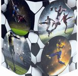 HERMA Papierkorb 15,0 l Fußball