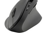 Speedlink PIAVO Ergonomic Vertical Wireless Maus, schwarz