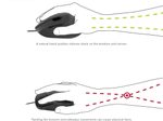 Speedlink PIAVO Ergonomic Vertical Wireless Maus, schwarz
