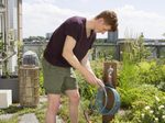 GARDENA Gartenschlauch city gardening