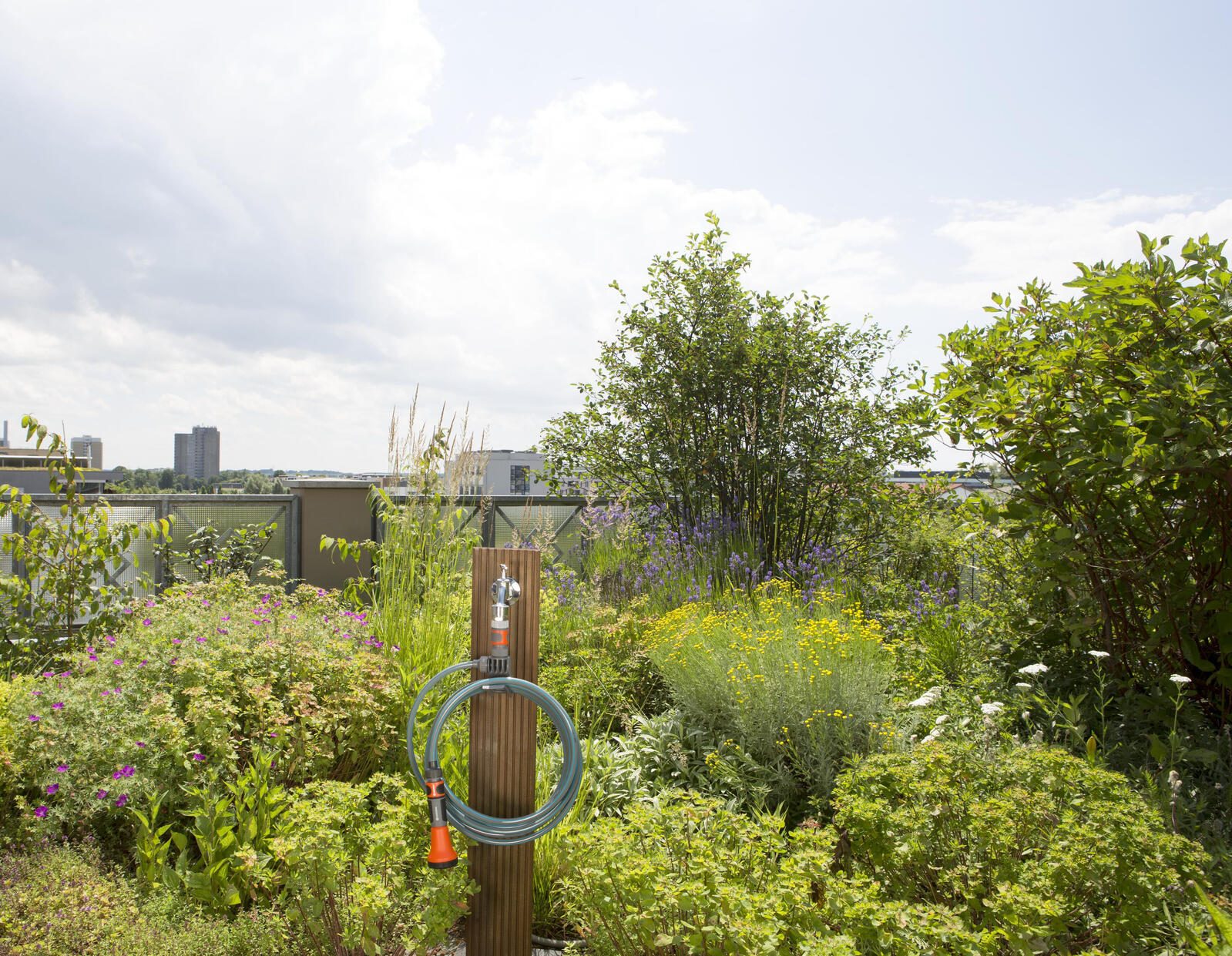 GARDENA Gartenschlauch city gardening