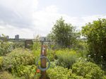 GARDENA Gartenschlauch city gardening
