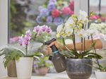 GARDENA Sprühflasche schwarz, grau