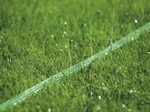 GARDENA Rasensprenger Ready-to-use
