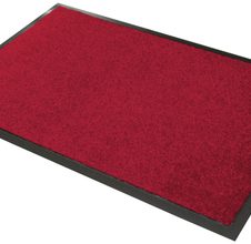 Rot
