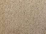 Mercury Fußmatte Alpha 80,0 x 120,0 cm beige