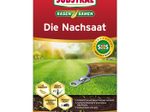 SUBSTRAL® DIE NACHSAAT Rasensamen 1 kg