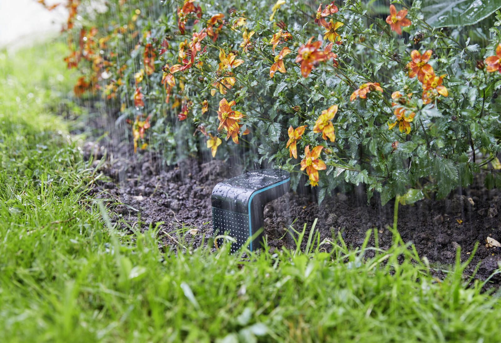 GARDENA Bodenfeuchtesensor smart App