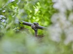 GARDENA Rohrhalter Micro-Drip-System 4,6 mm (3/16“)