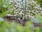 GARDENA Rohrhalter Micro-Drip-System 4,6 mm (3/16“)