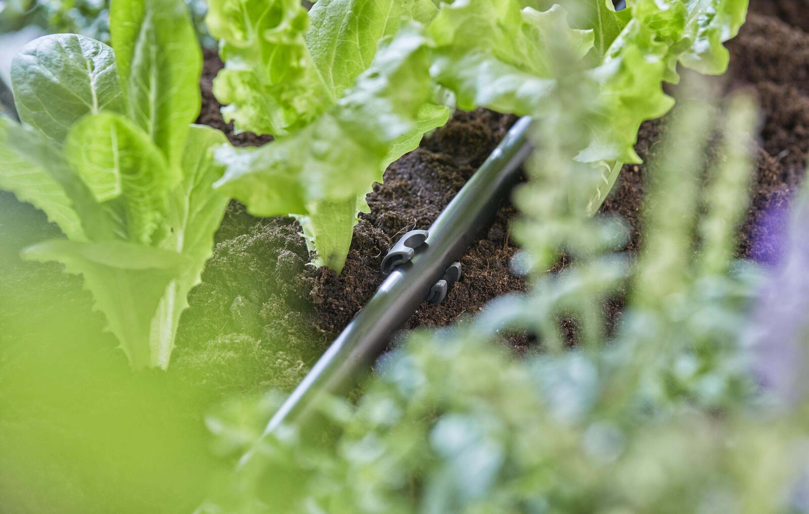 GARDENA Rohrhalter Micro-Drip-System 13mm (1/2")