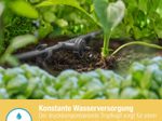 GARDENA Reihentropfer für Tropfschlauch Micro-Drip-System 2l/h