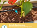 GARDENA Reihentropfer für Tropfschlauch Micro-Drip-System 2 l/h