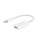 XLAYER Adapter USB-C/Lightning