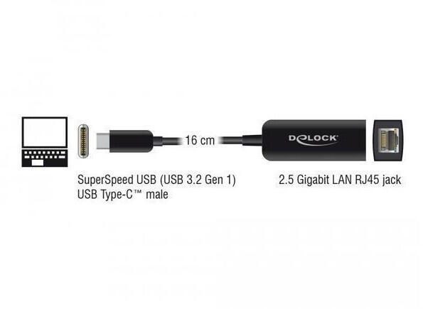 DeLOCK Thunderbolt 3 zu 2.5GBase-T Netzwerkadapter, schwarz