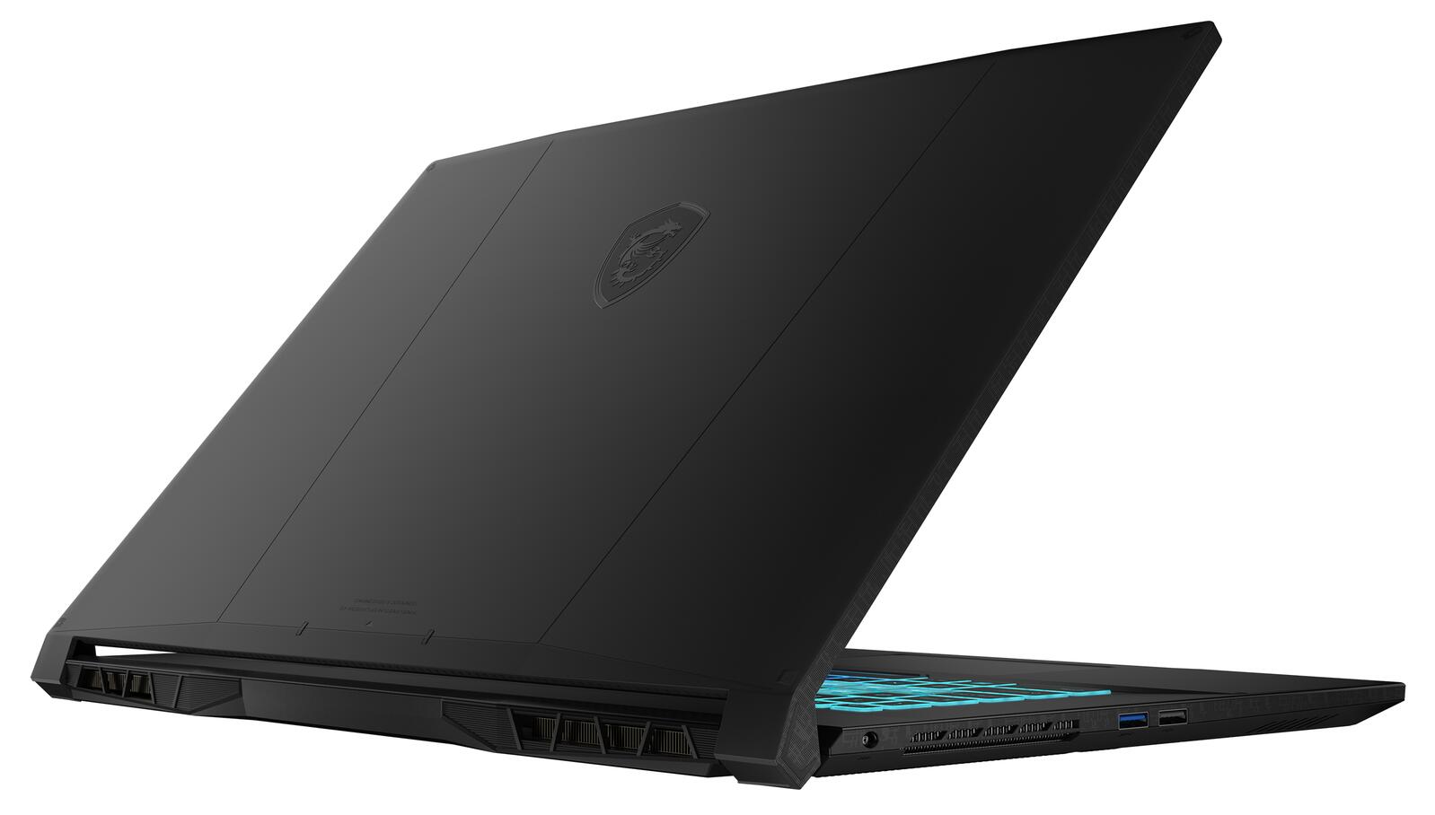 MSI Katana 17 B13VFK-442 Intel Core i7 13620H Notebook 43,9 cm (17.3")