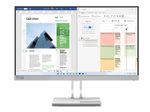 Lenovo L25e-40 Full HD Display 62,2 cm (24.5")