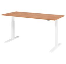 Nussbaum