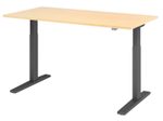 HAMMERBACHER XMKA16 höhenverstellbarer Schreibtisch 70,0 - 120,0 cm - elektrisch ahorn / grafit