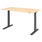 HAMMERBACHER XMKA16 höhenverstellbarer Schreibtisch 70,0 - 120,0 cm - elektrisch ahorn / grafit