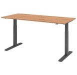 HAMMERBACHER XMKA19 höhenverstellbarer Schreibtisch 70,0 - 120,0 cm - elektrisch asteiche / grafit