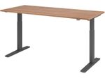HAMMERBACHER XMKA19 höhenverstellbarer Schreibtisch 70,0 - 120,0 cm - elektrisch nussbaum / grafit
