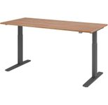 HAMMERBACHER XMKA19 höhenverstellbarer Schreibtisch 70,0 - 120,0 cm - elektrisch nussbaum / grafit
