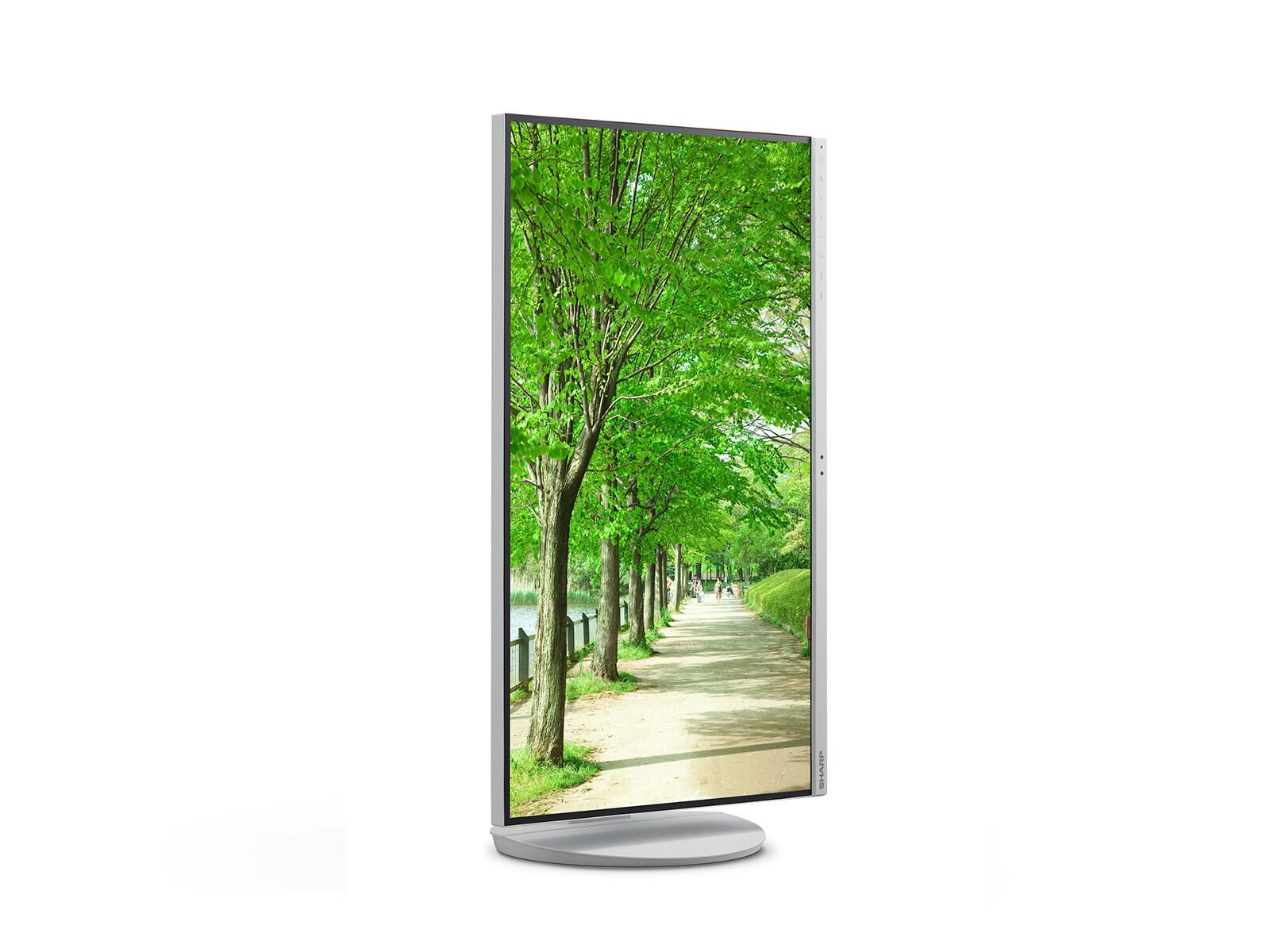 Sharp Multisync EA272UW