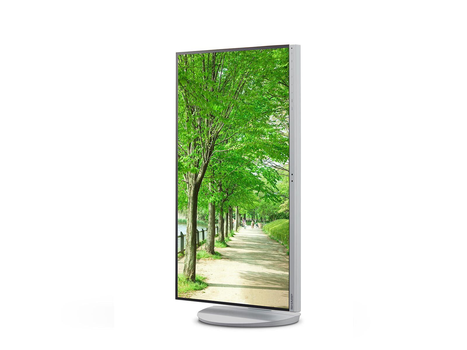 Sharp Multisync EA272UW