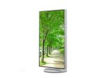 Sharp Multisync EA272UW